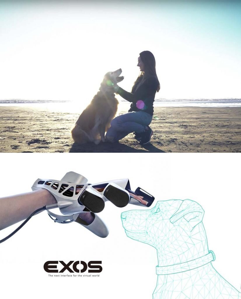 2017. EXOS ブランディング