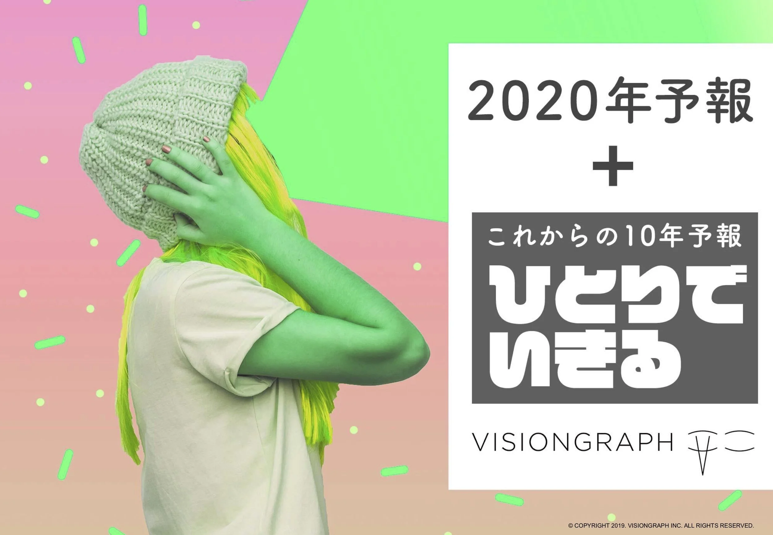 VISIONGRAPH Inc.の2020年予報