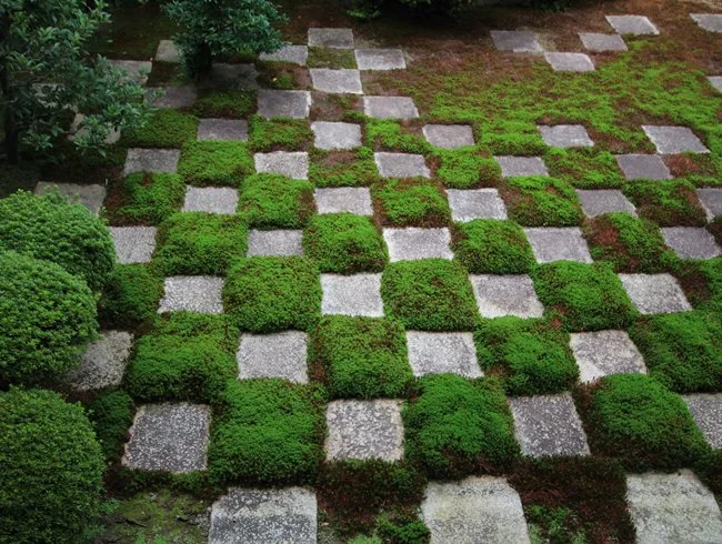 moss-modern-zen-garden-garden-design_10350.jpg