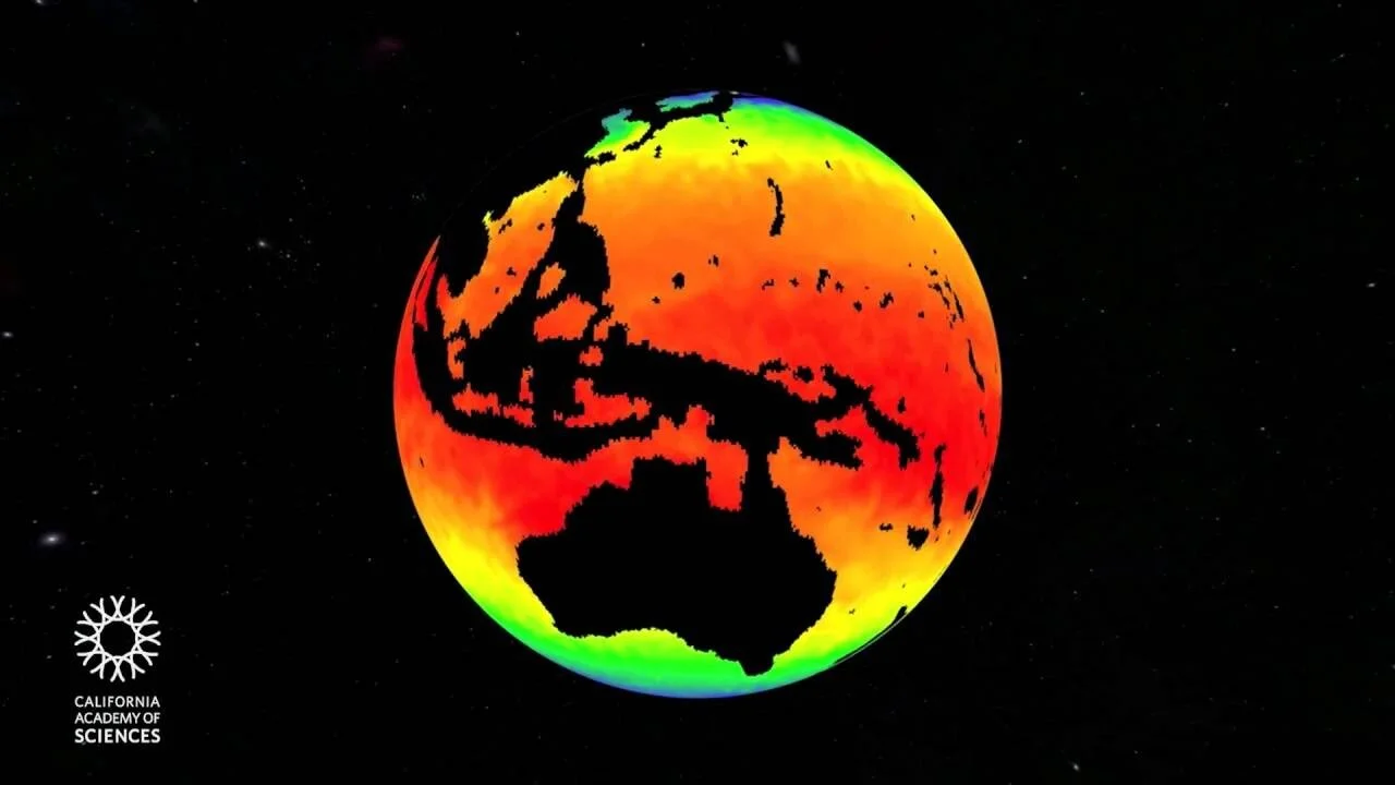 "Fragile Planet" Screening with Dr. Vandana Singh