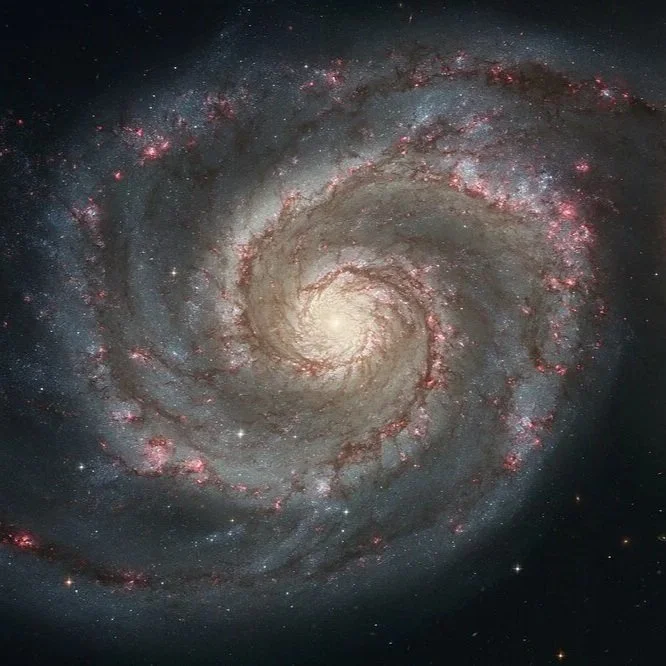 Summer Planetarium: A Galactic Odyssey and Big Astronomy