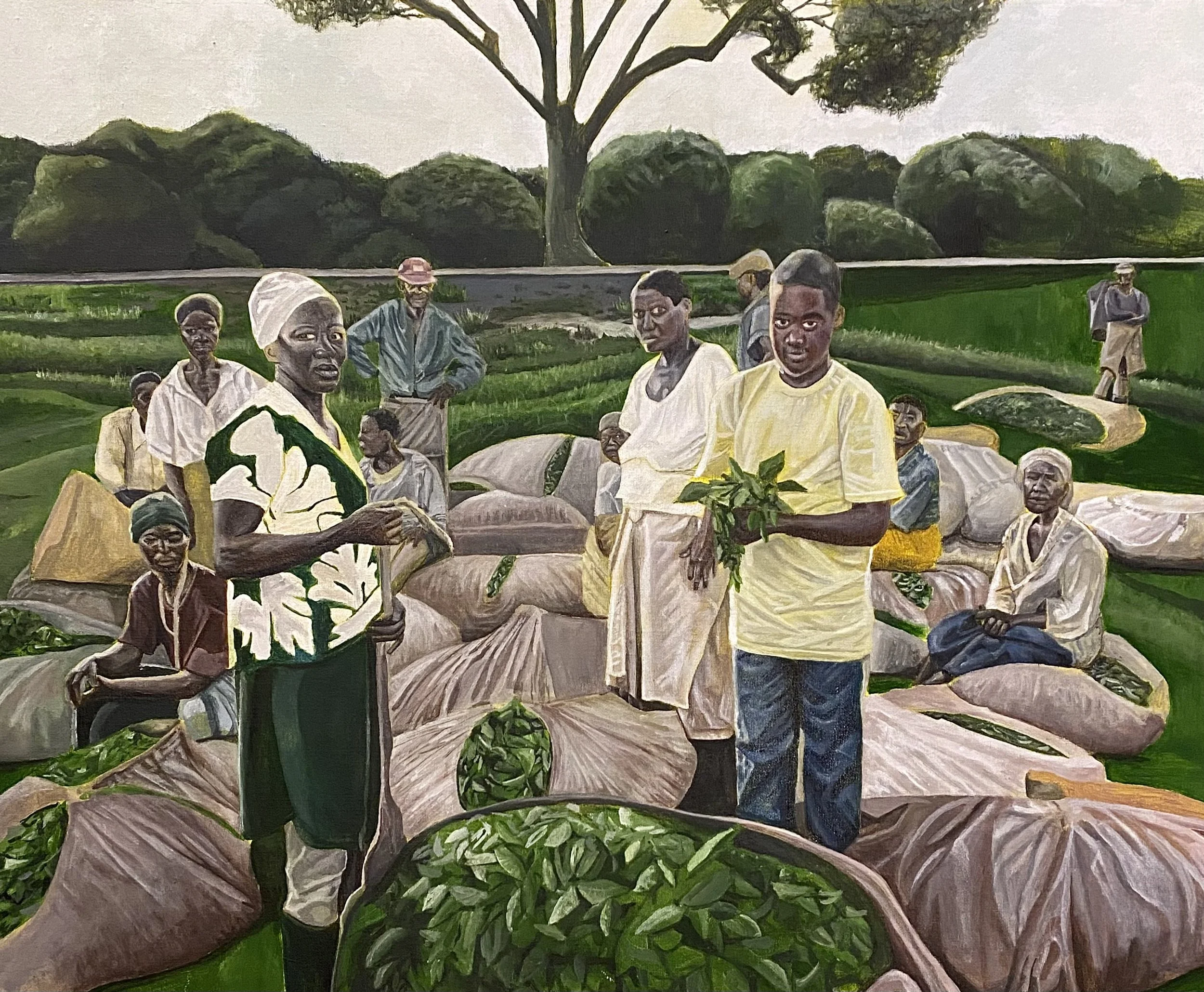 Kachingwe Tea Dispatch