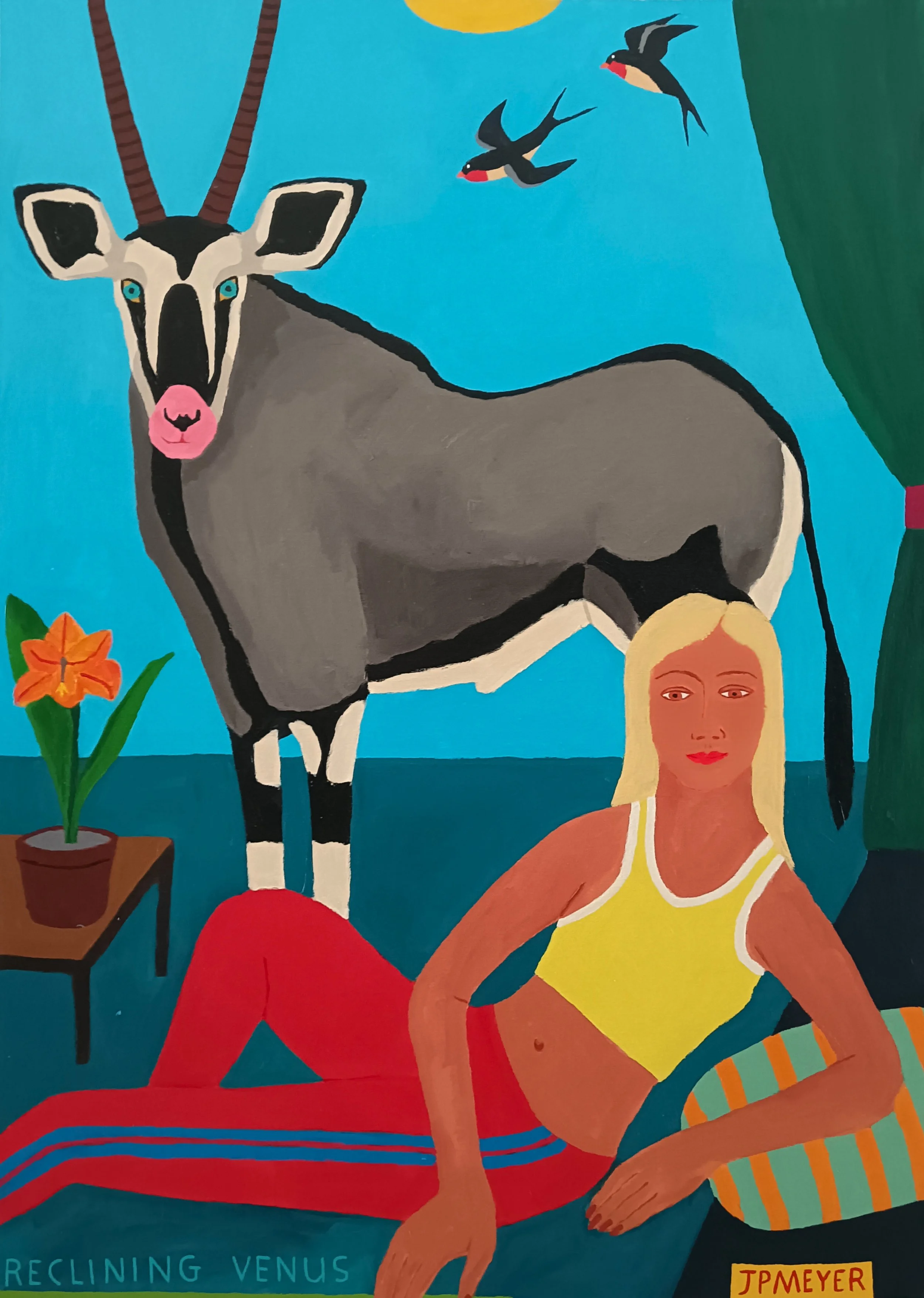 Postcard from the kalahari 