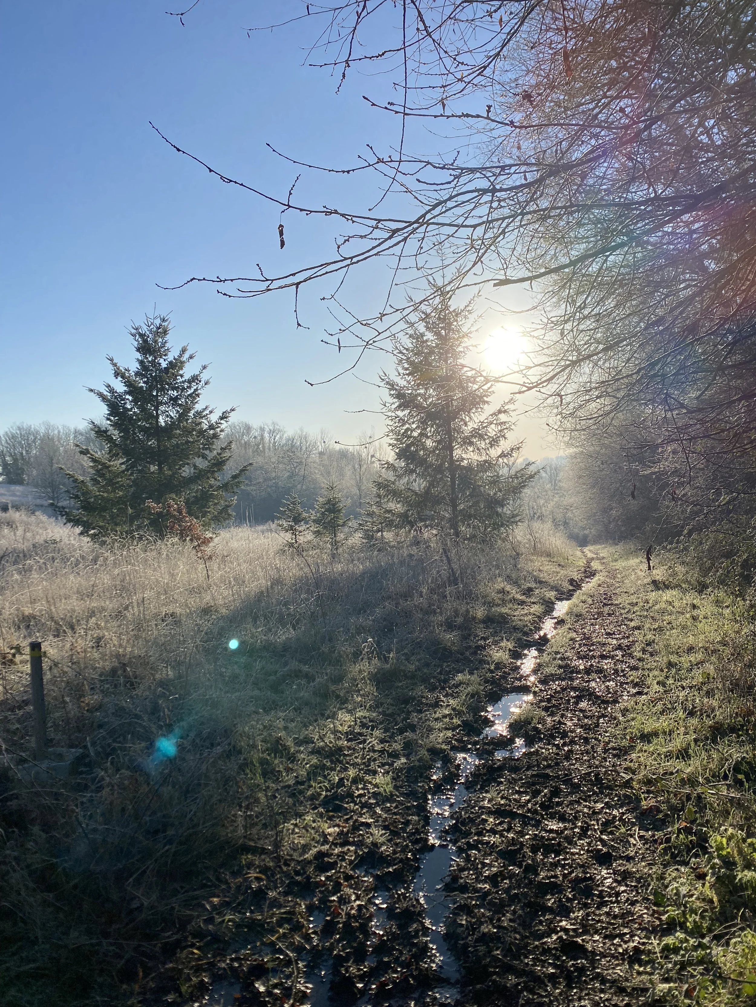 LA MARCHE : UNE VERITABLE THERAPIE POUR LE CORPS &amp; L'ESPRIT