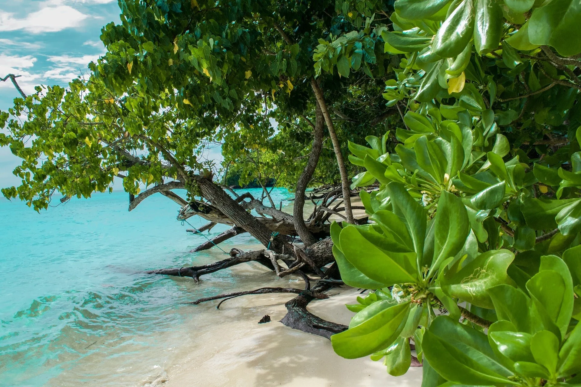 Las palyas más paradisiacas de Tailandia.