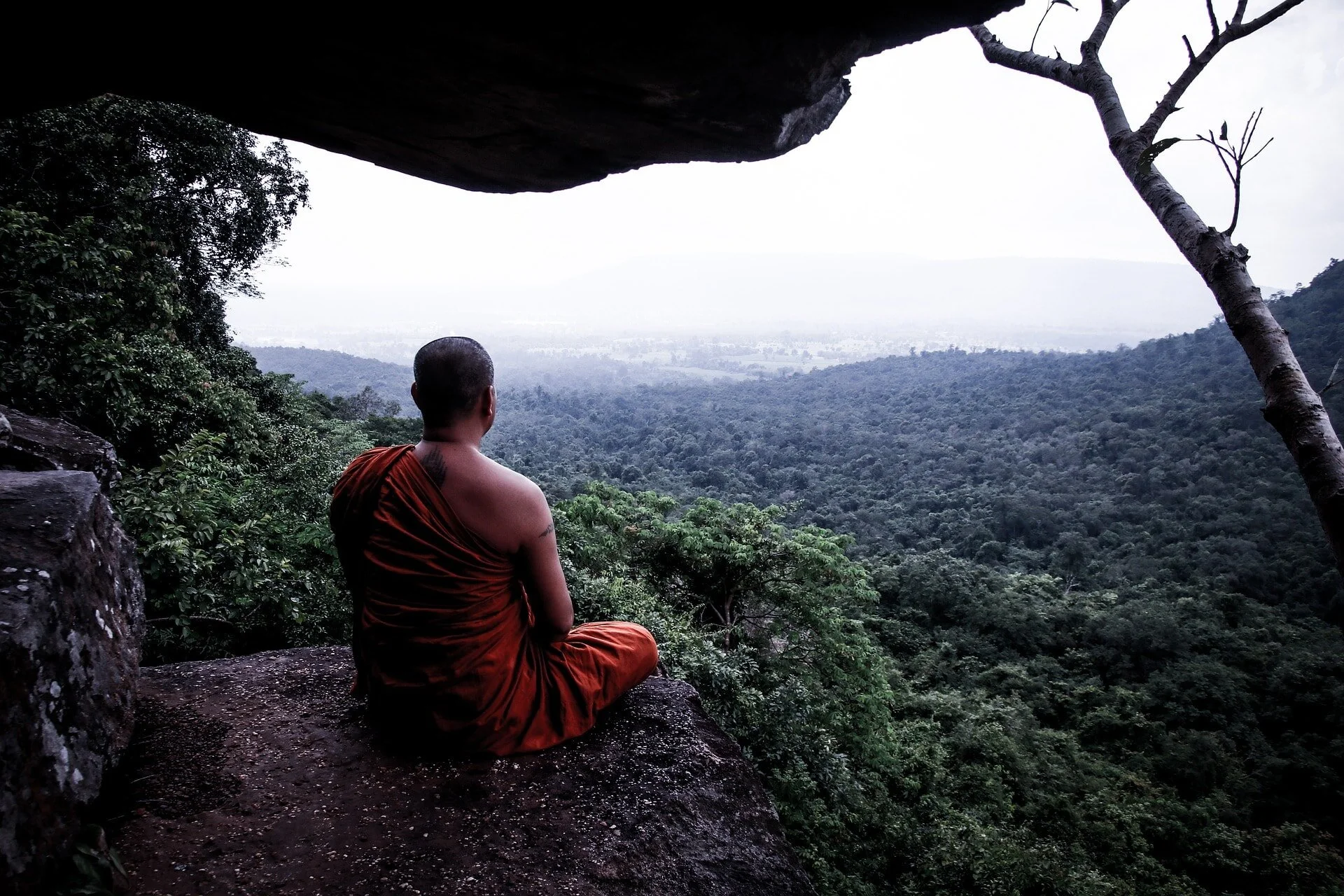Monje budista, Tailandia.