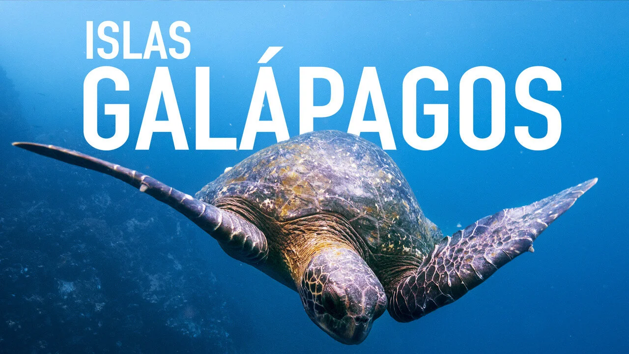 Guía turística a las Islas Galápagos, todo lo que necesitas saber antes de viajar.