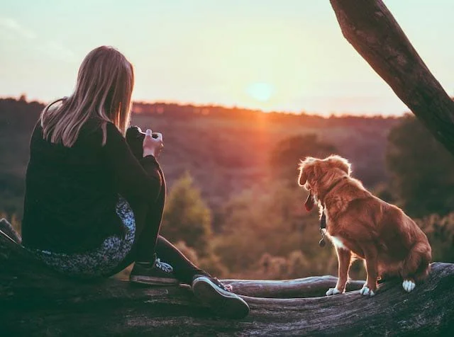 Hacer Fotografías a Mascotas ¡Los mejores consejos!