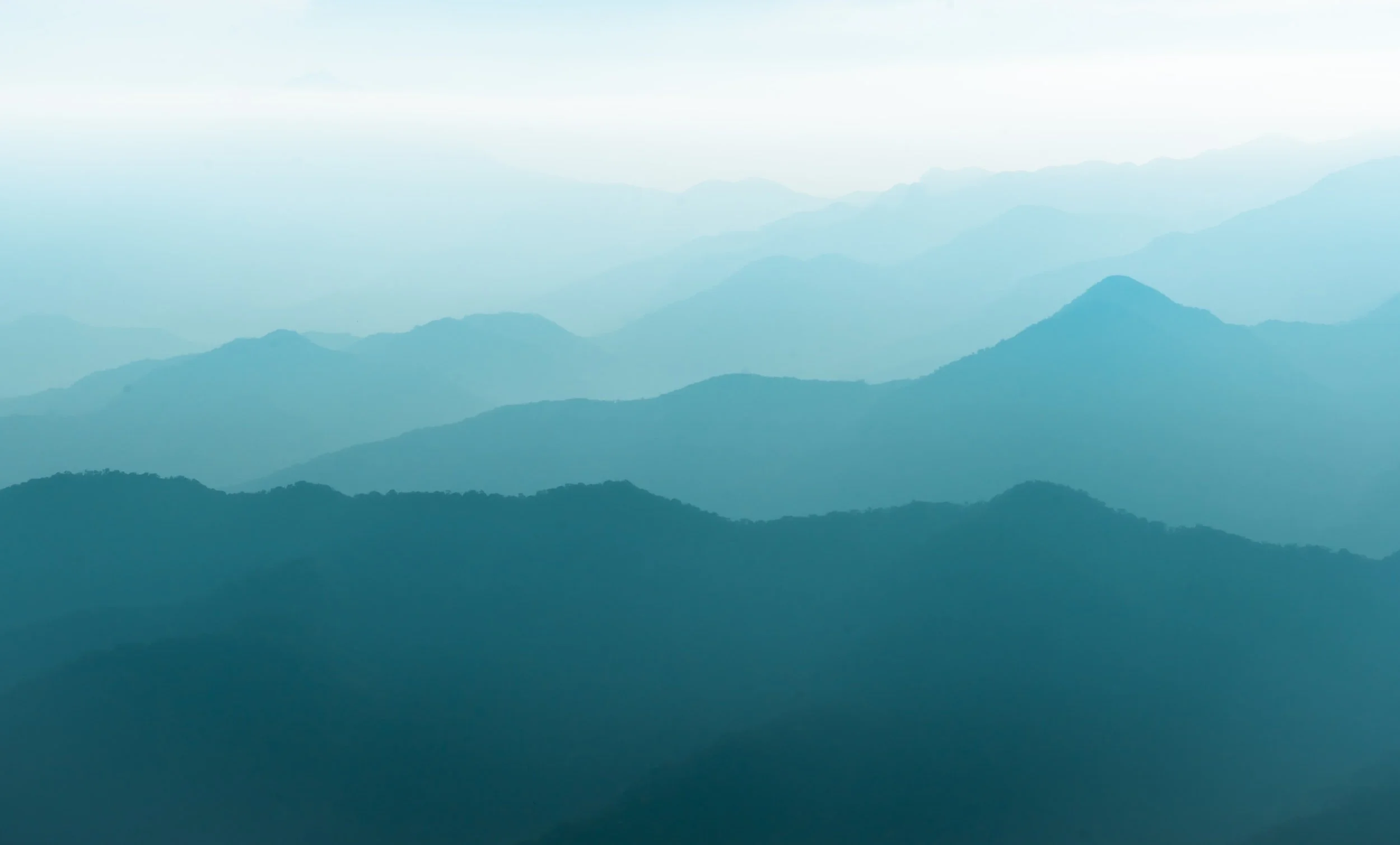 unsplash-image-jUCQRQeRs3k.jpg