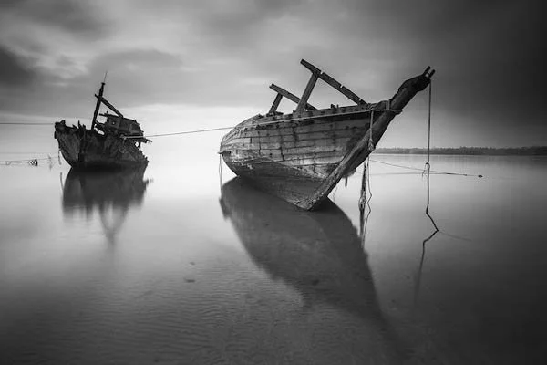 Elementos de la fotografía ¡Conócelos!