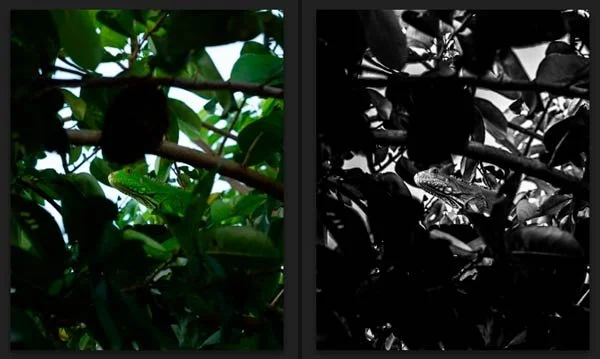 Cómo crear presets de Lightroom