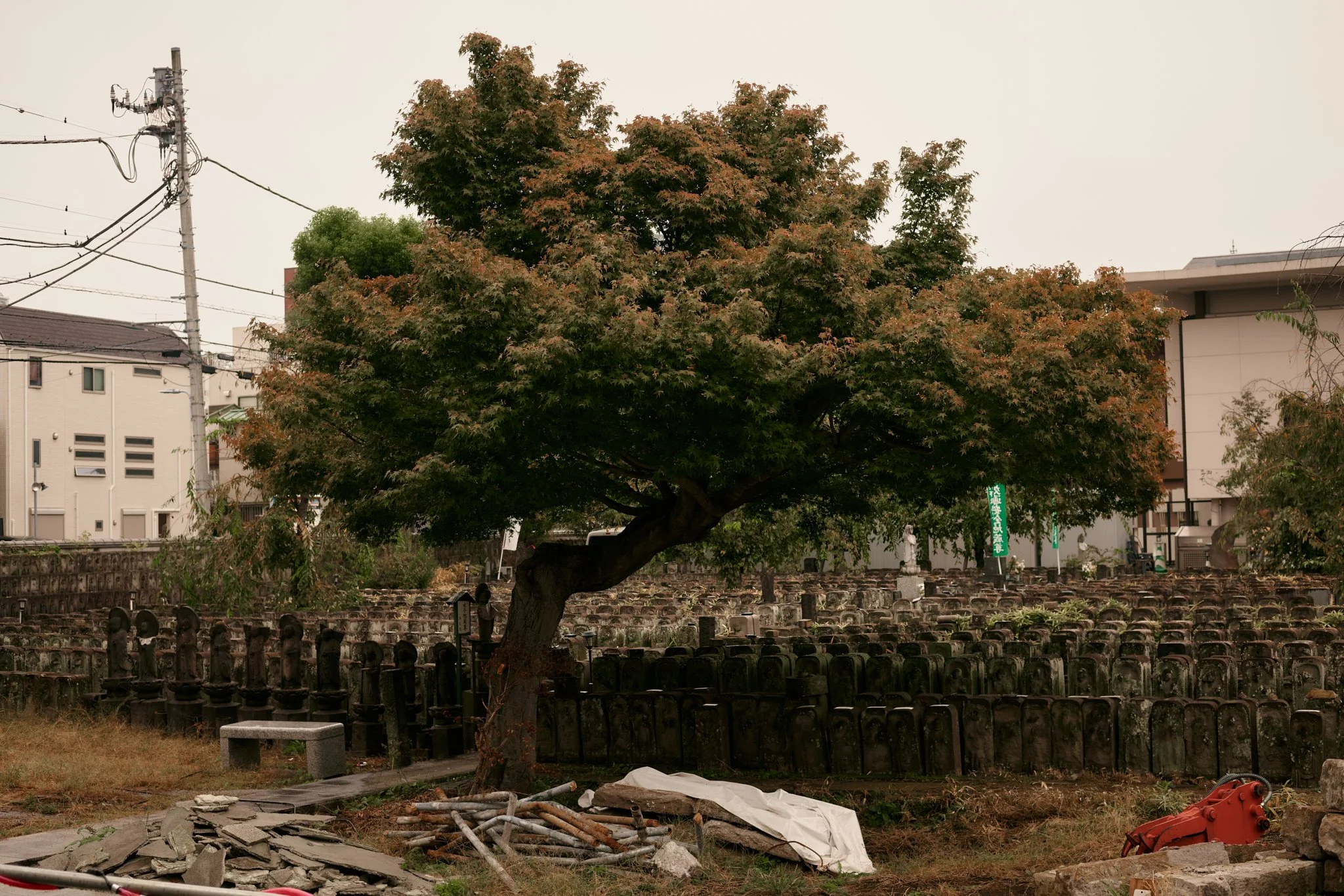 20241017_Tokyo24_Day1-179 1.jpg