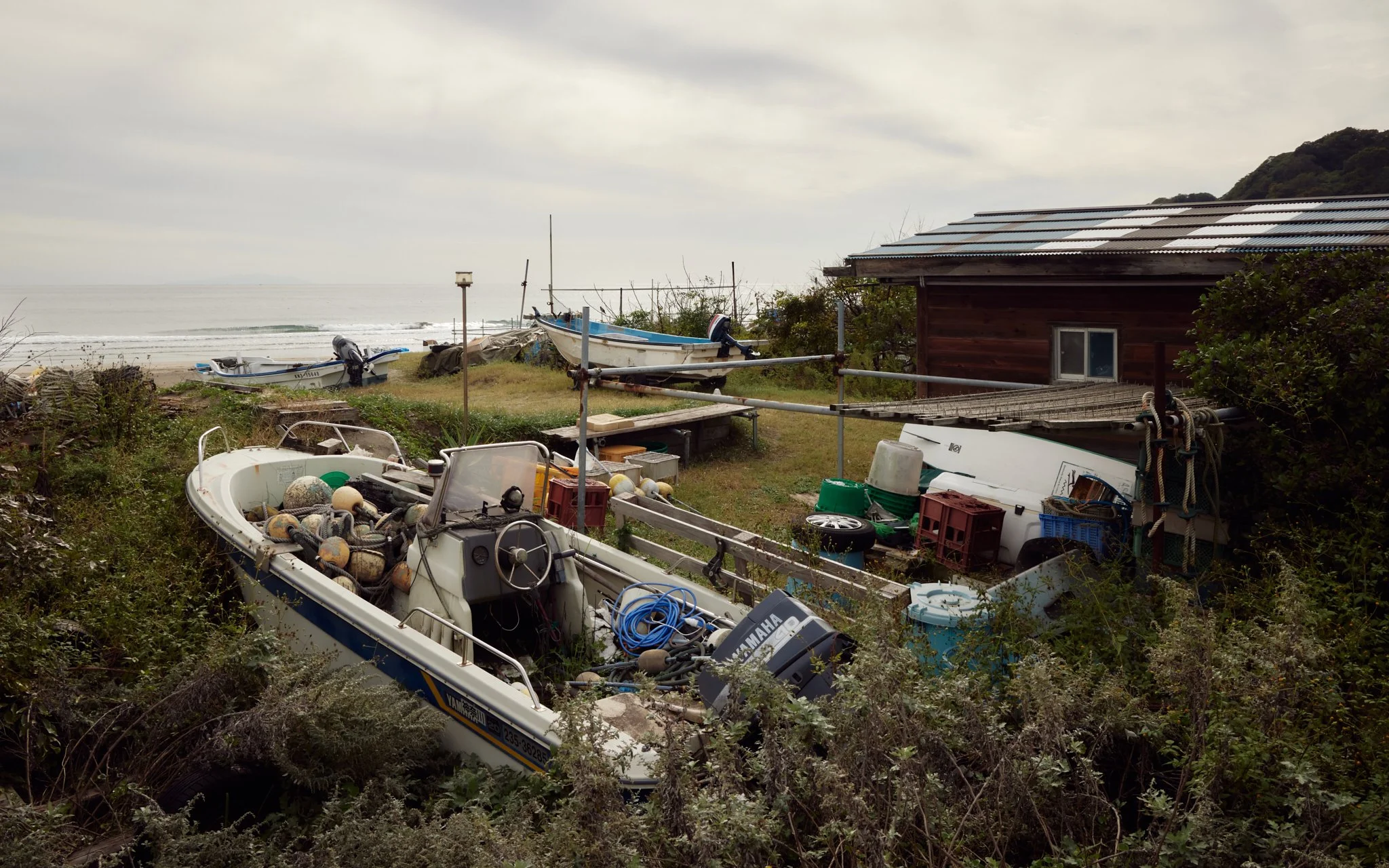 20241031_Tokyo24_Day14-186 2.jpg