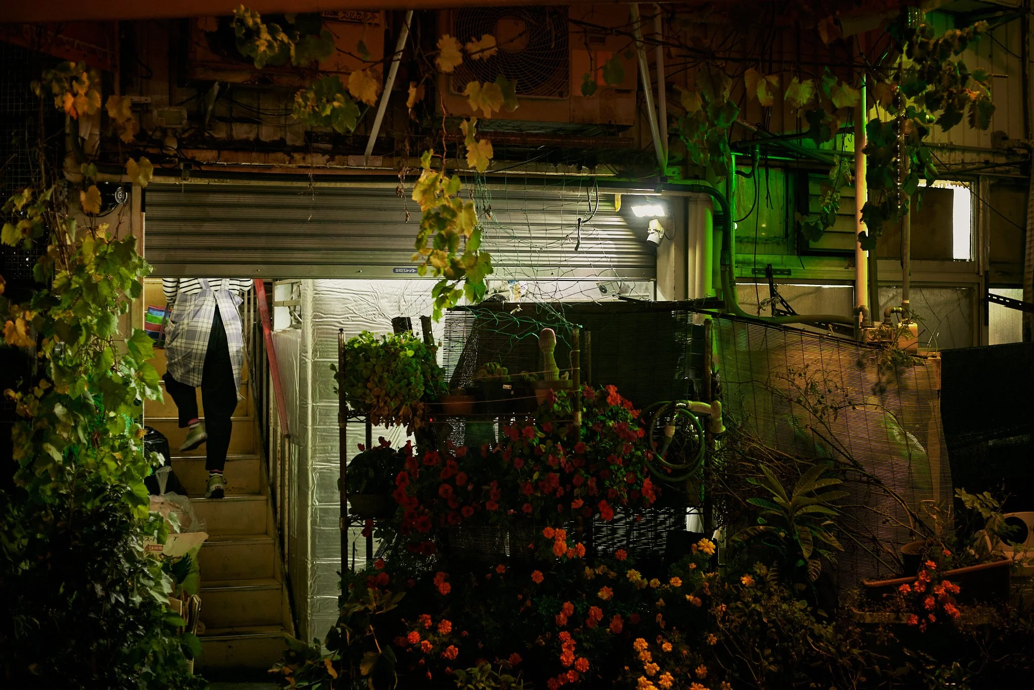 20241114_Tokyo24_Day27-919 1.jpg