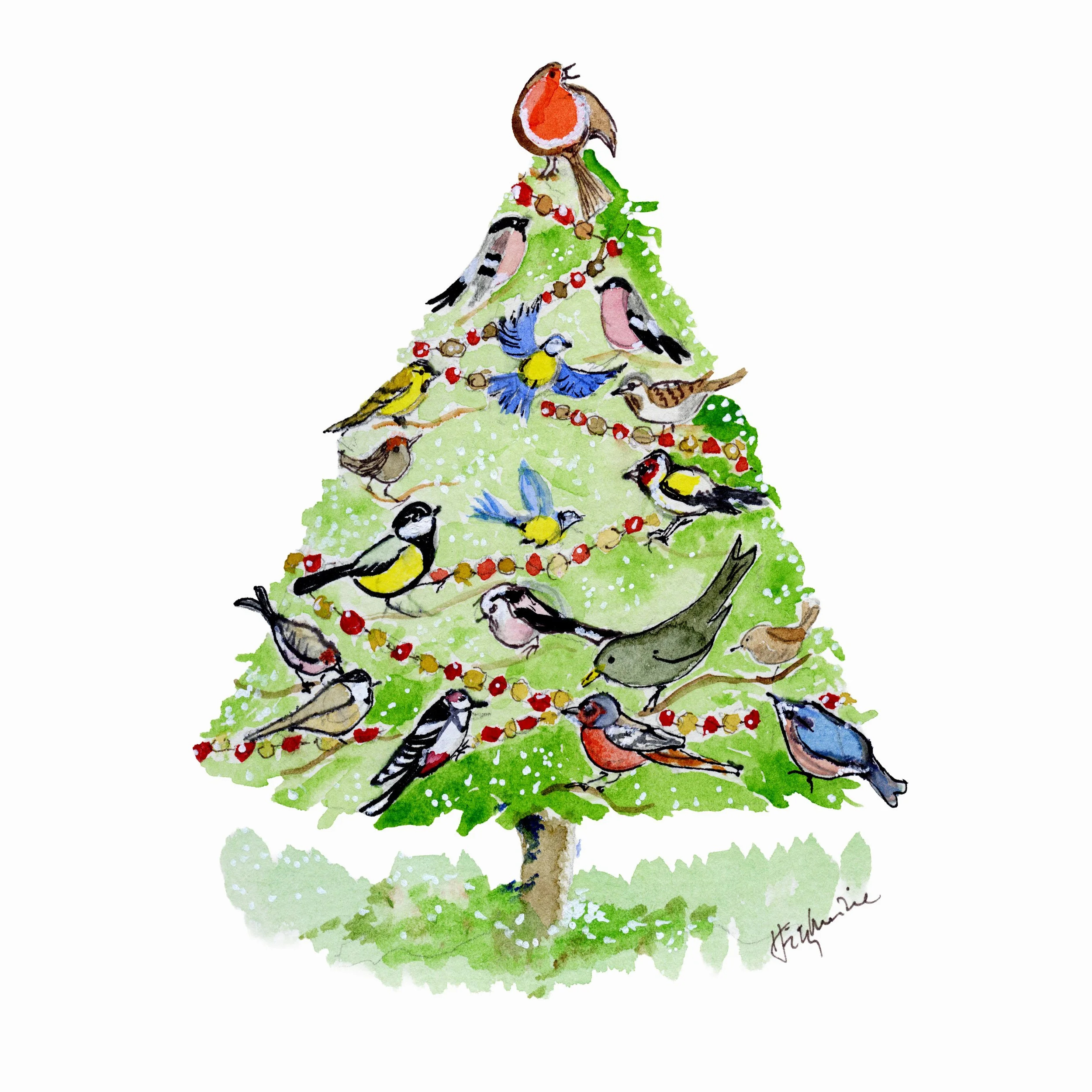 Bird Tree image by Helen Fitzmaurcie