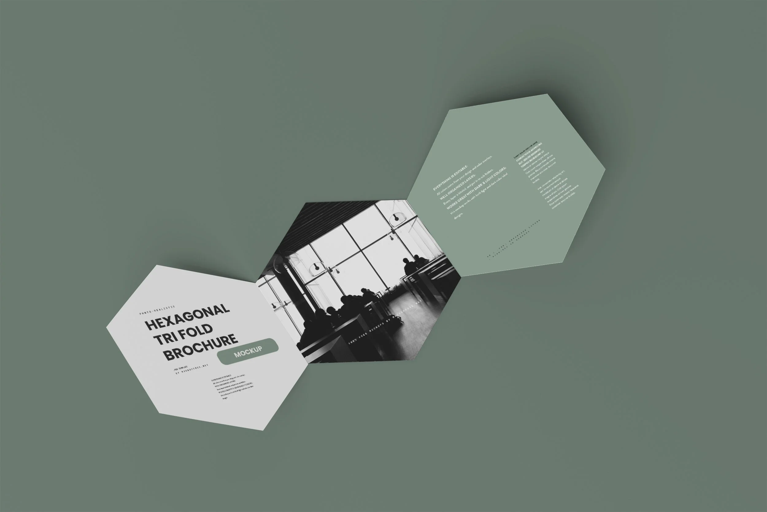HexTriFold_03.jpg