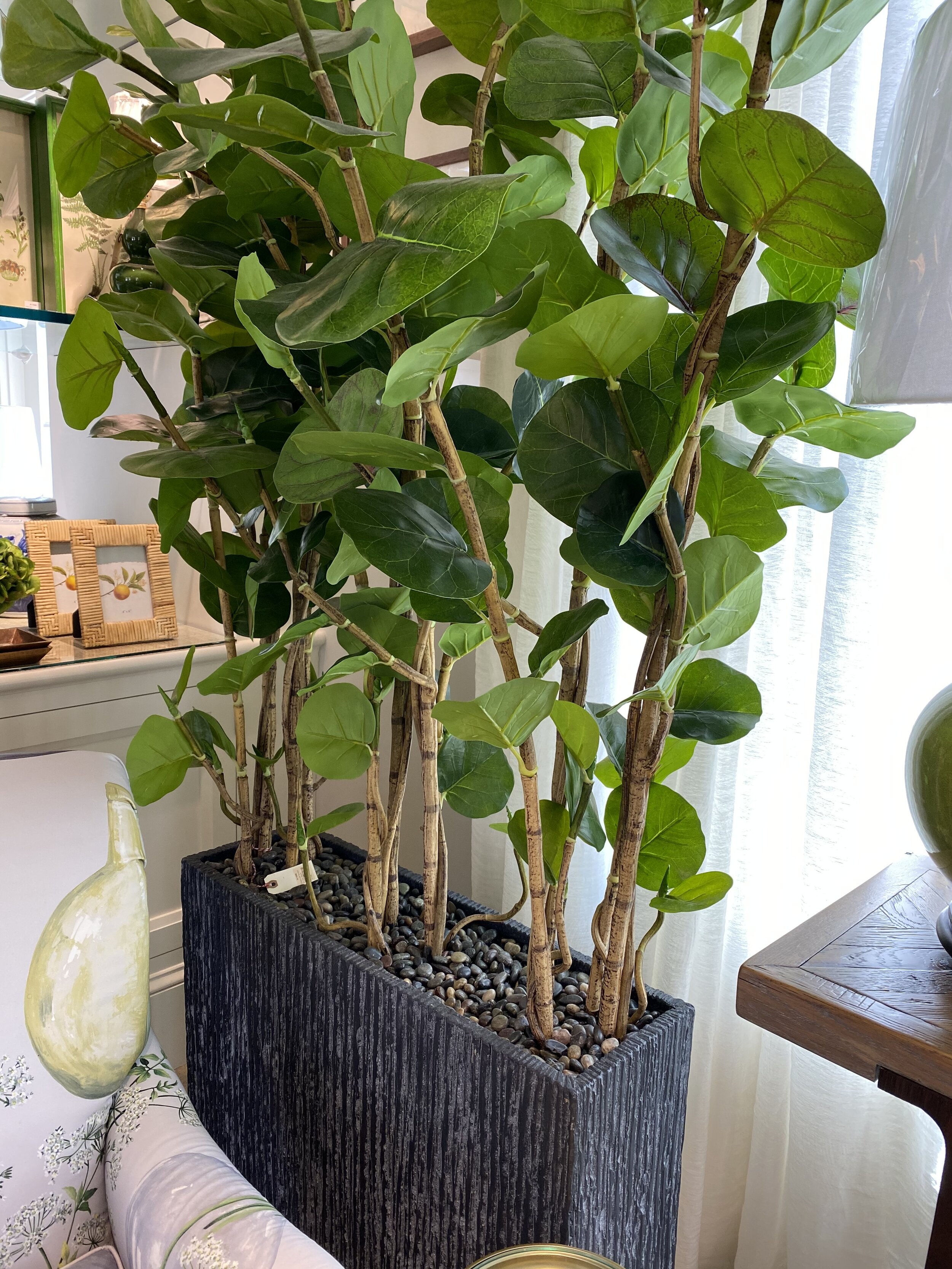 Green Plant Divider