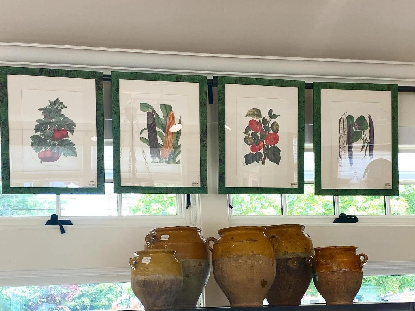 Garden Botanical Prints