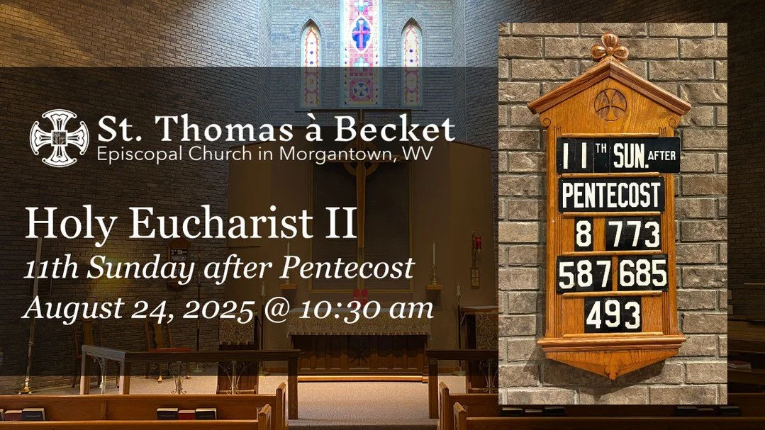 11th Sunday after Pentecost at St. Thomas à Becket:
https://youtube.com/live/8enZIh9PIFU