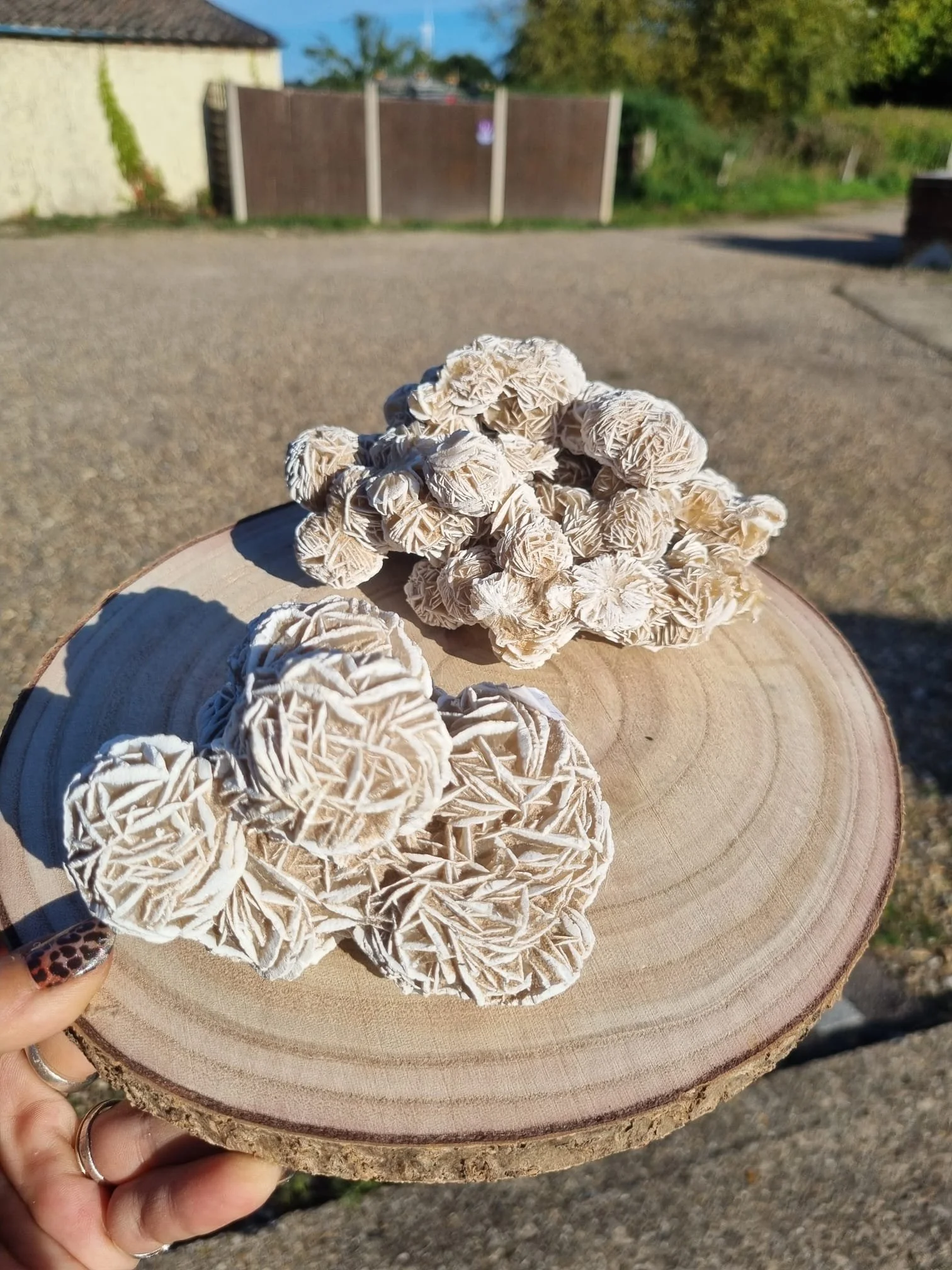 Selenite Desert Rose
