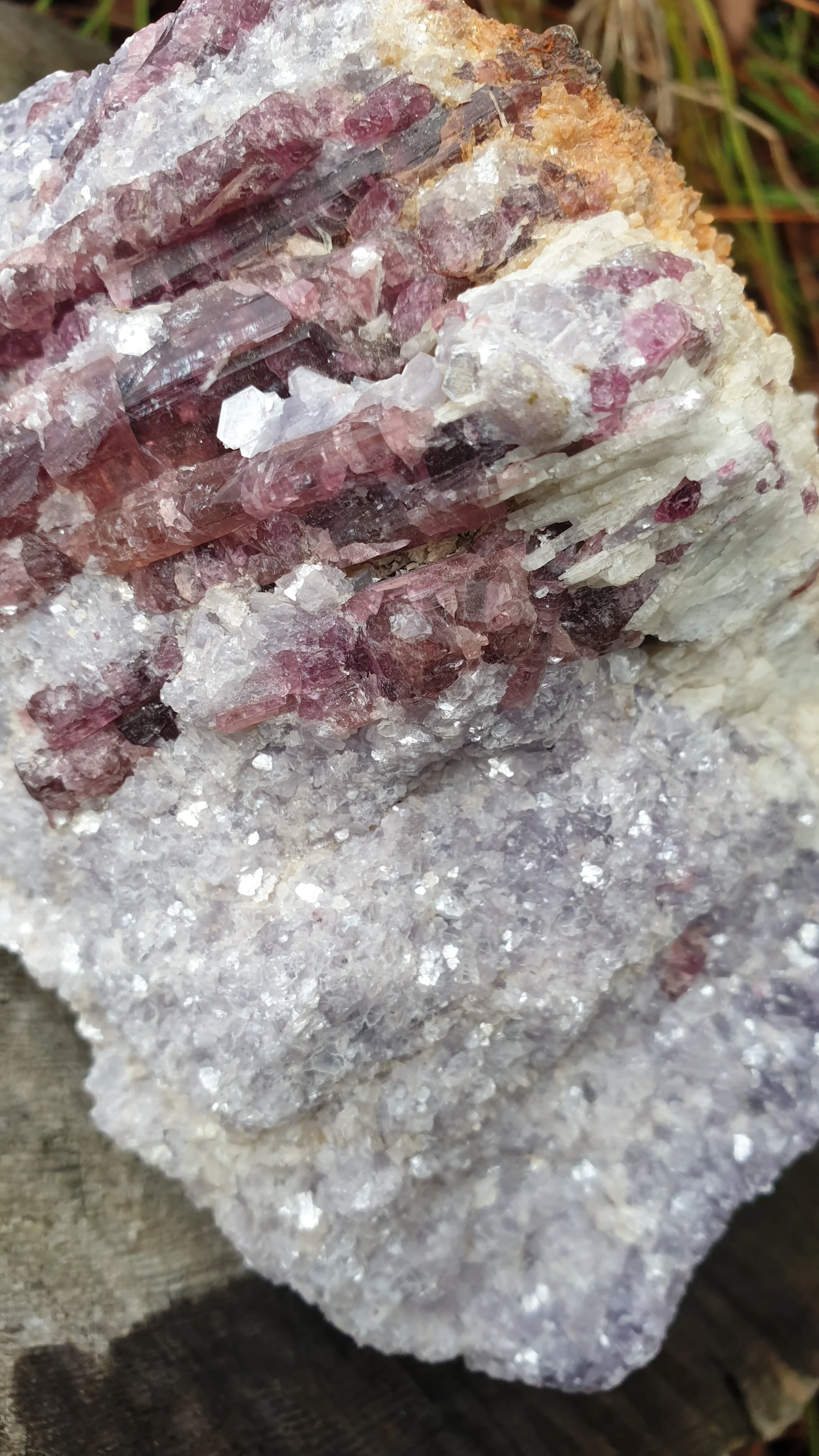 20201103_144130.jpg