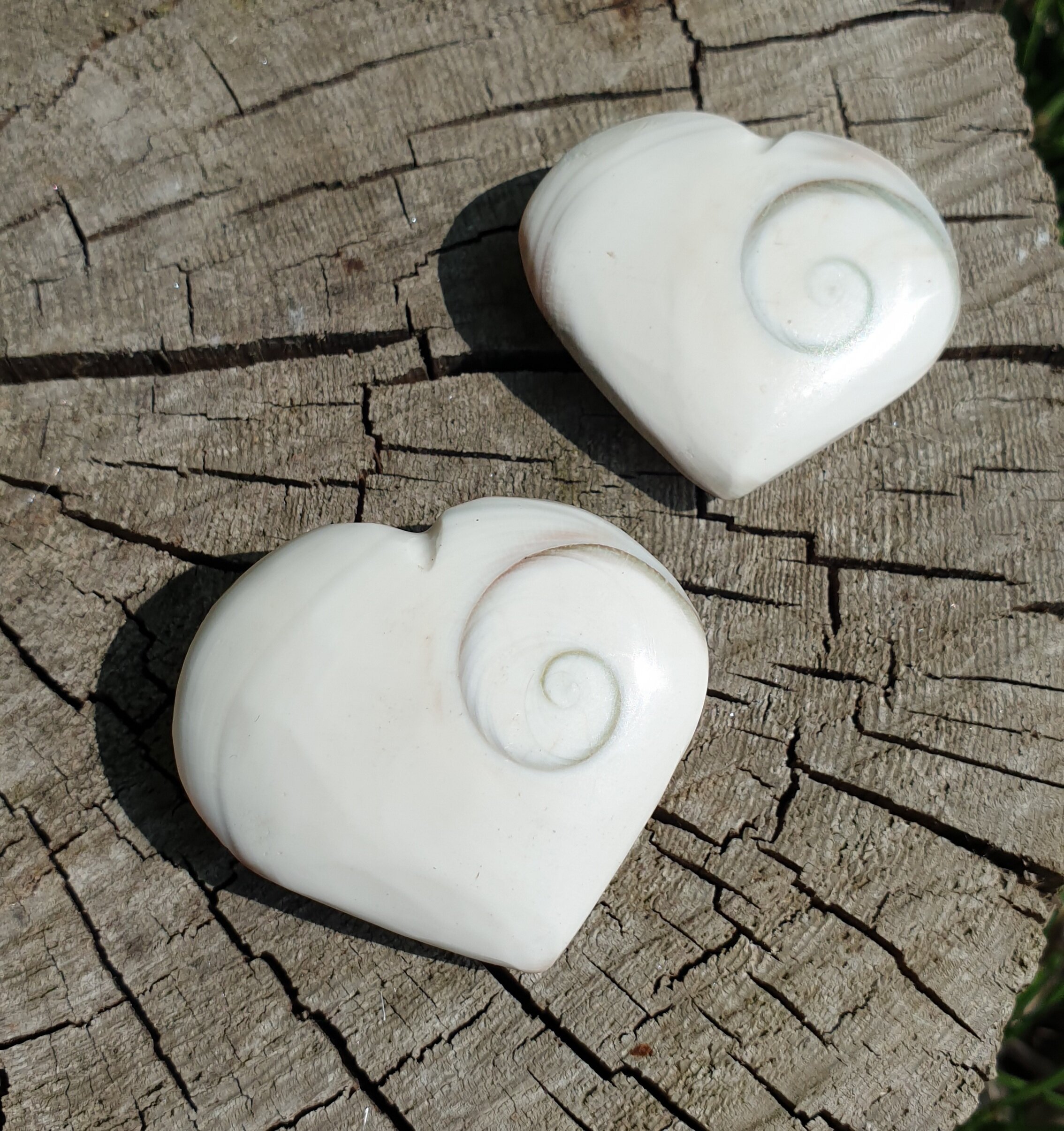 Shiva Eye Shell Hearts