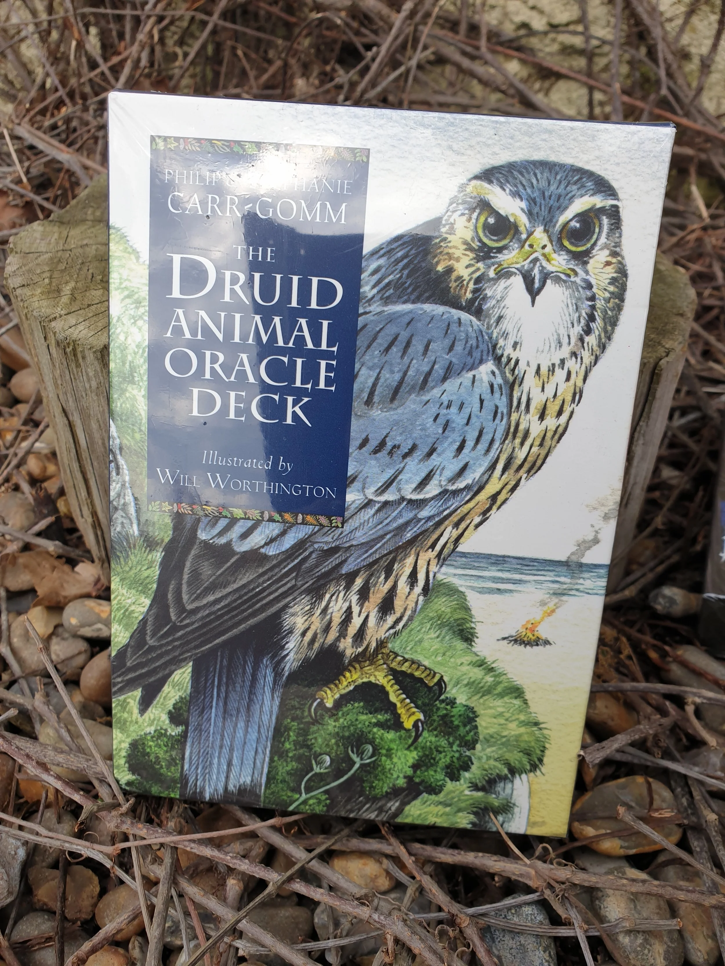 The Druid Animal Oracle Cards