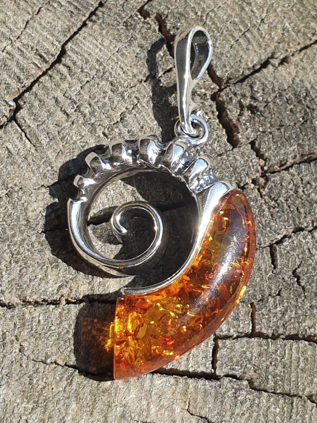 Amber Ammonite Pendant