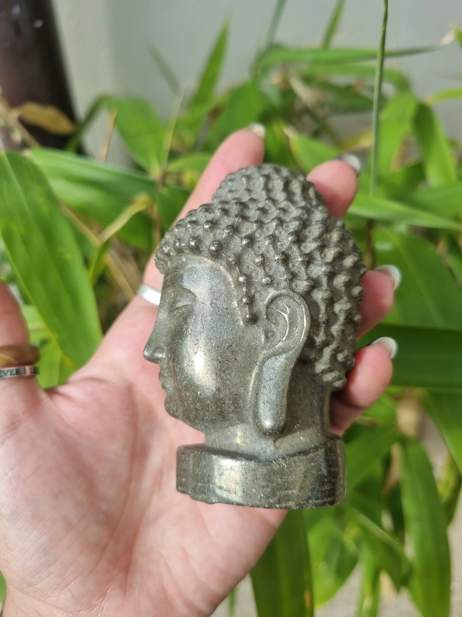 IMG-20260916-WA0033.jpg
