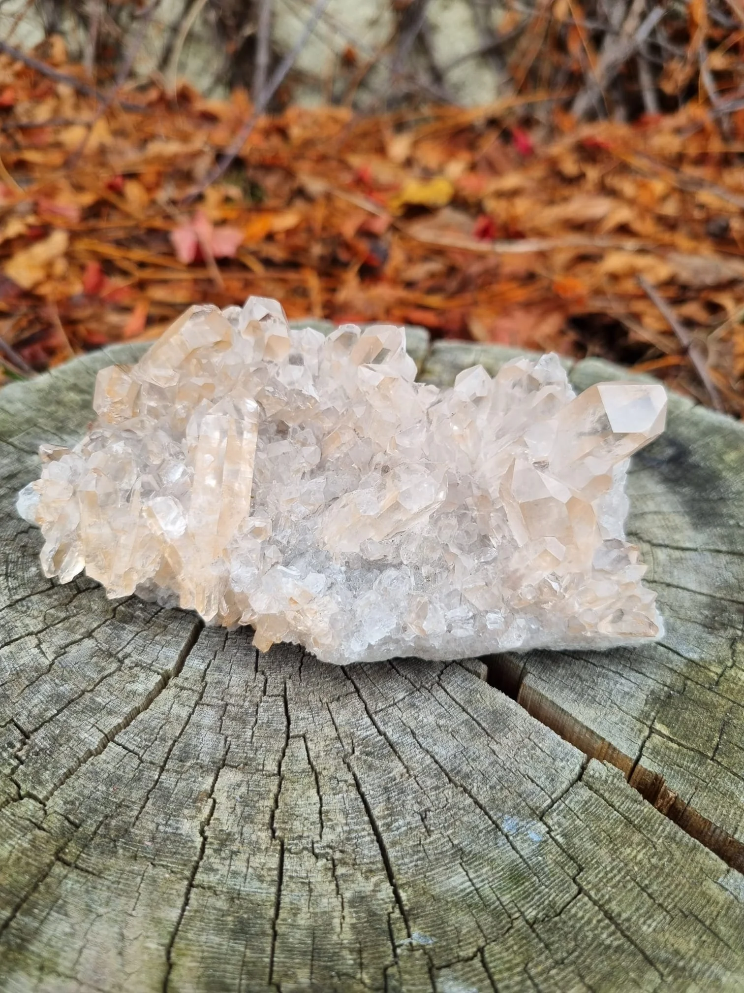 Moroccan Tangerine Quartz Cluster
