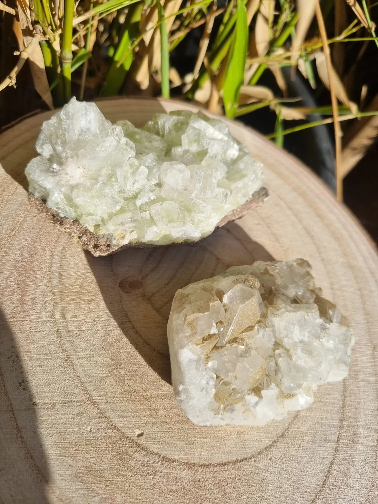 Apophyllite Clusters