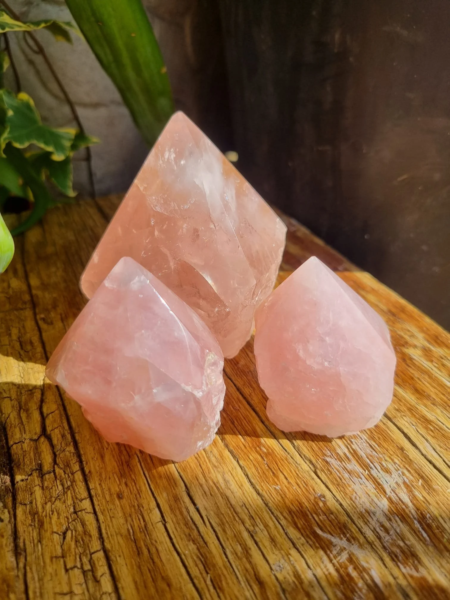 Rose Quartz Part Polished Points