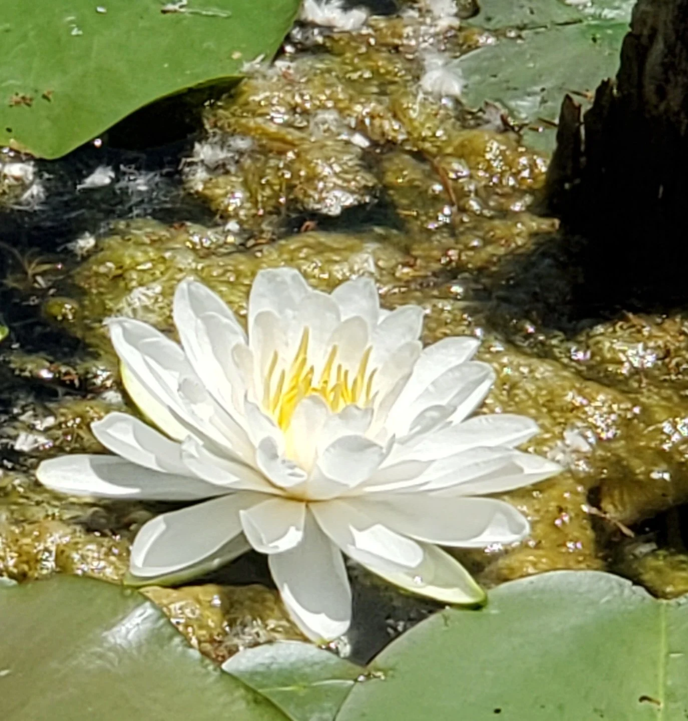 20220710_120949.jpg