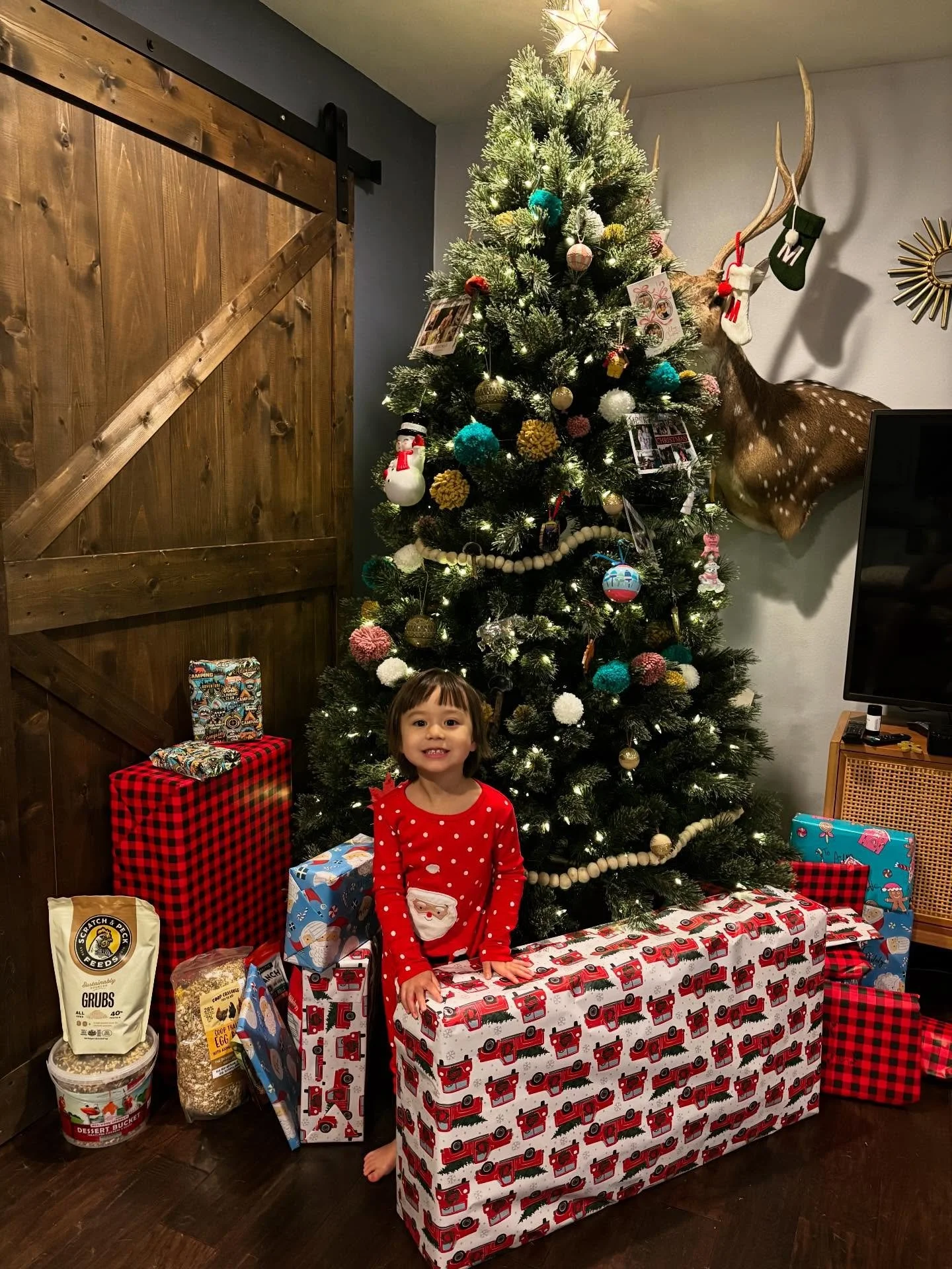 It was one for the books!  Merry Christmas everyone!  Hope it was blessed. Thank you Jesus 🙏🏼💝🎄

#corememories #christmas2025 #christmaslights #christmasmemories #joytotheworld