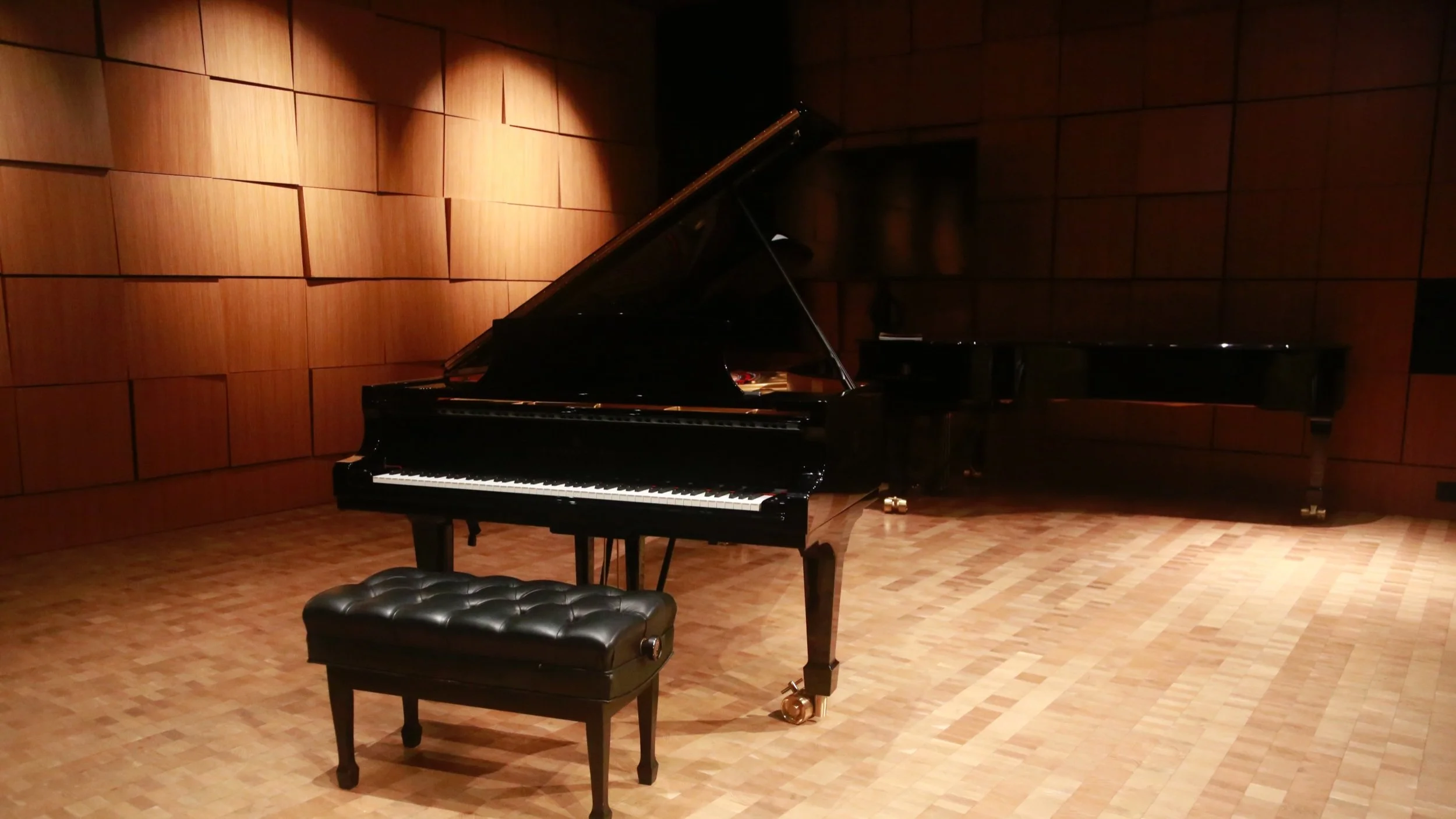 Recital ticket - for multiple children performing