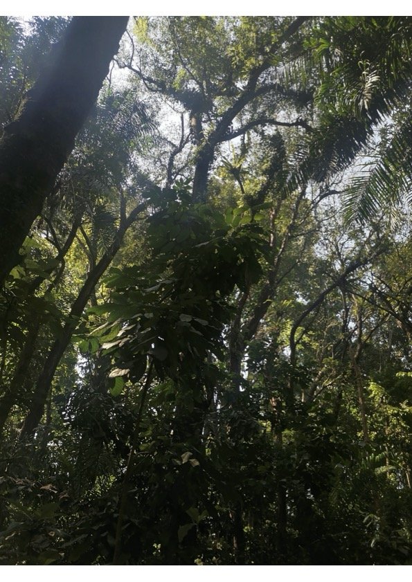 Nyt myös Maailmanpankki vaatii kohtuutta