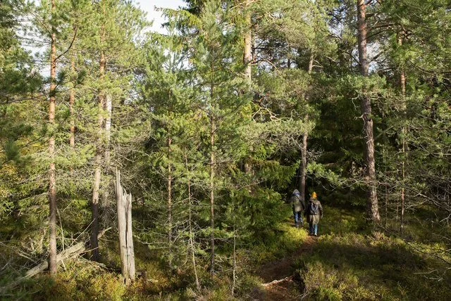 Kevätretki Stansvikiin 21.5.26
