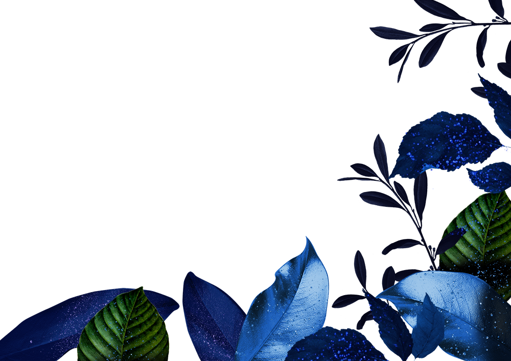 leaves3.png