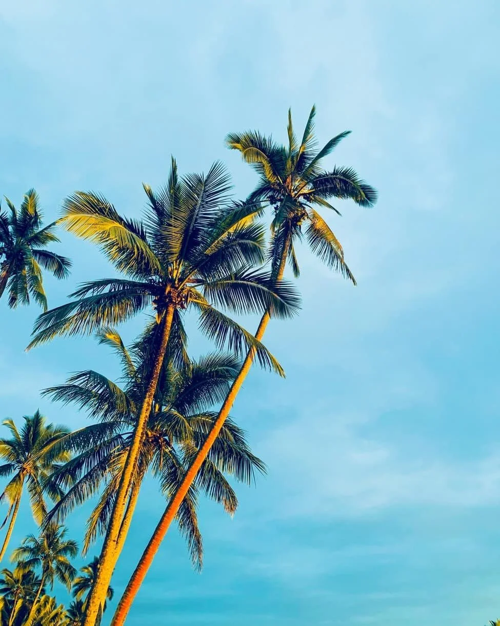 It&rsquo;s time to dance again.

See you at the beach ✌