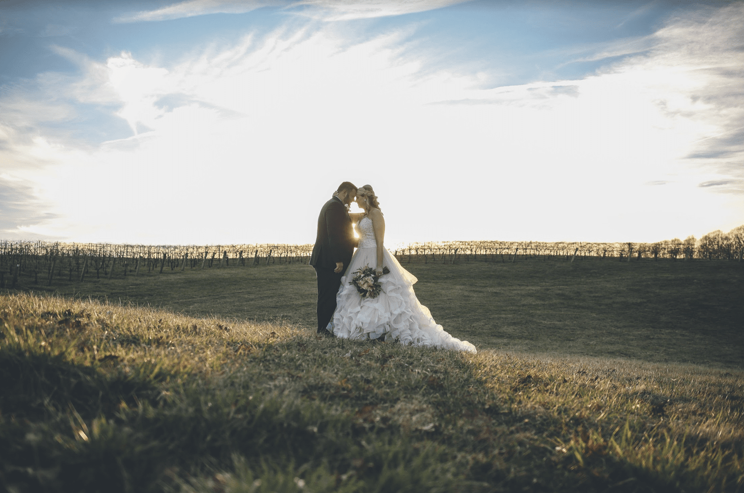 Sanders Ridge Vineyard + Winery
