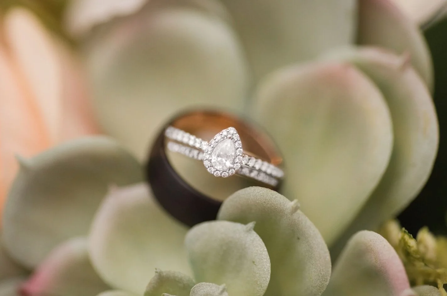 Photo Courtesy of Bella Ann Photography