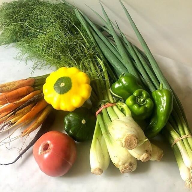 @cobblestonefarmersmarket tomorrow and Saturday! 
From The Farm: Heirloom Tomatoes! We will have ripe German Johnson, Cherokee Purple, Ruby Gold, Lillian, Kellogg Breakfast, Amish Paste, Brandywine &amp; New Zealand varieties. Come by &amp; pick up a