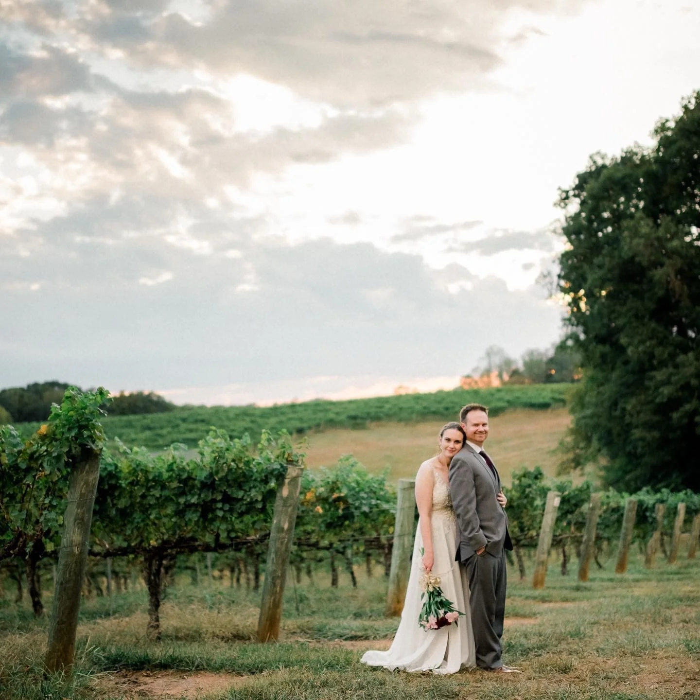 bride and groom in vineyard 2.JPG