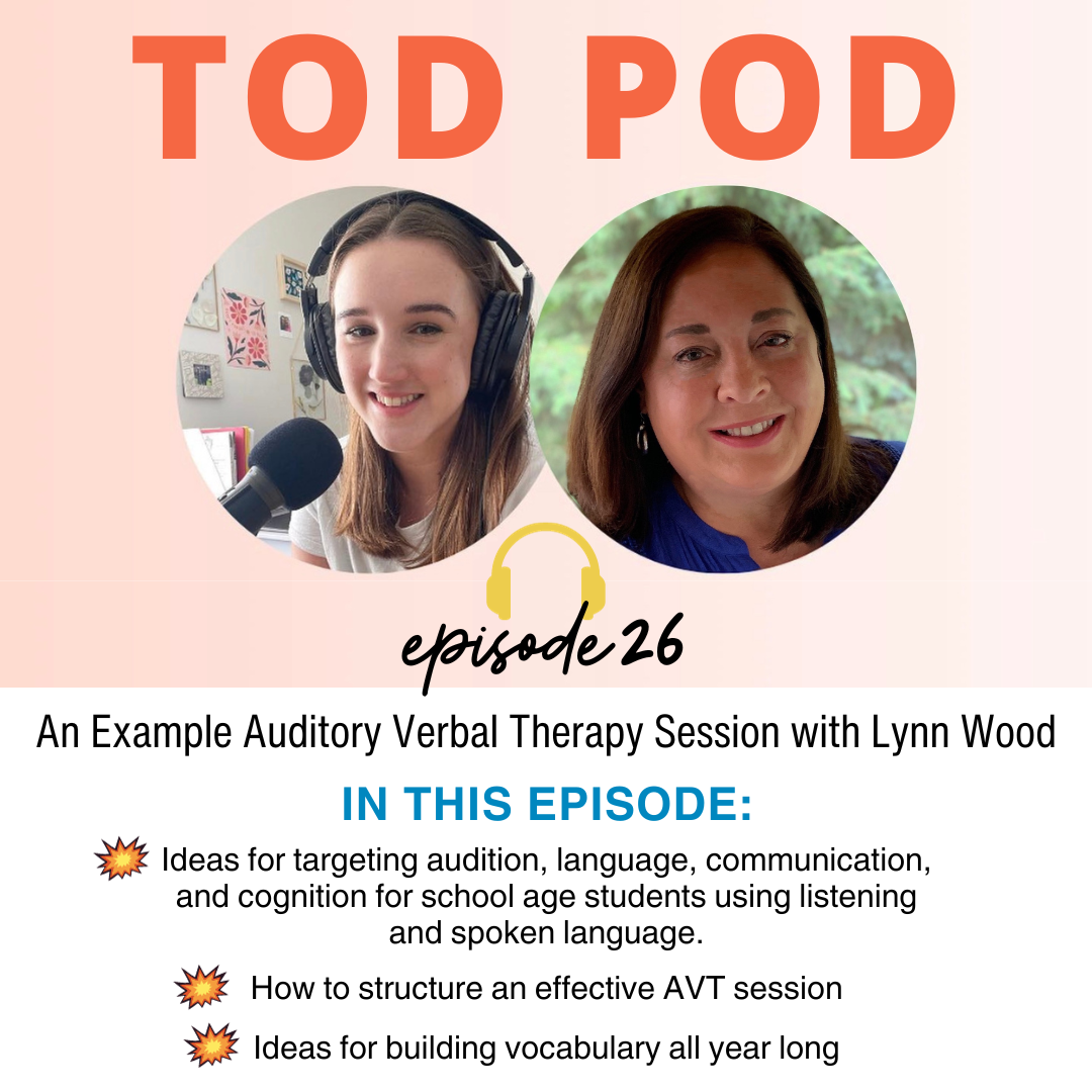 PODCAST Guest- Auditory Verbal Therapy - From Lynn Wood's Perspective