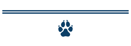 sidebar-footer1.png