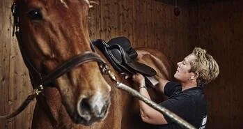 Saltilpassing i ridehallen