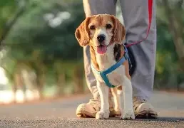 Kundekurs i ridehallen