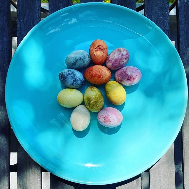 Today&rsquo;s Earth Month + Easter activity, all natural egg dying.
.
.
-Beets
-Blueberries -Onion Skins (the dark horse but my fave!) -Strawberries (didn&rsquo;t really work)
-Matcha
.
.
See story highlights for directions. .
.
Easy, upcycling and z