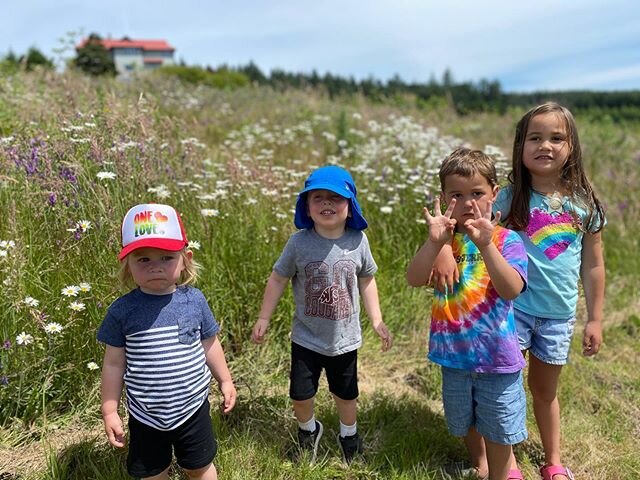 Beautiful afternoon spent on the sweetest flower farm in Salem. Make a reservation online to pick up a beautiful wild flower bouquet, and wander the farm for a couple hours. Thank you for having us @wittefarm Oh, and pack snacks so you can enjoy the 