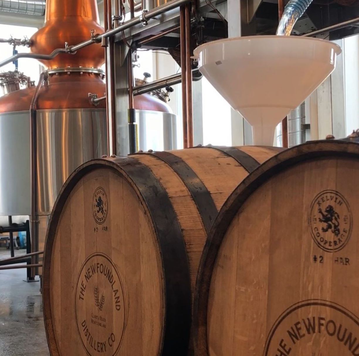 From Aquavit to Whisky, a Newfoundland Dream Comes True 